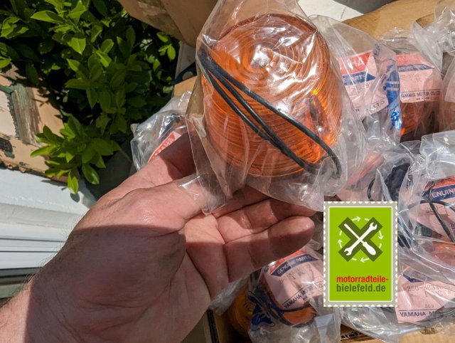 PXL_20240510_125308770